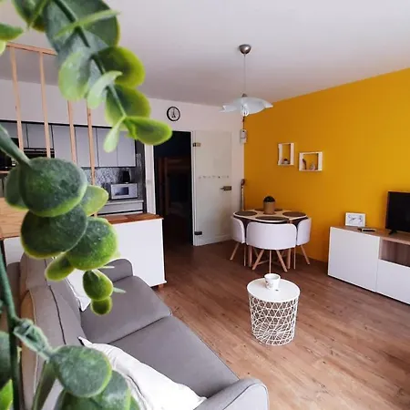 Familial 30m2 Les Goelands - Grand Balcon Vue Foret Daire