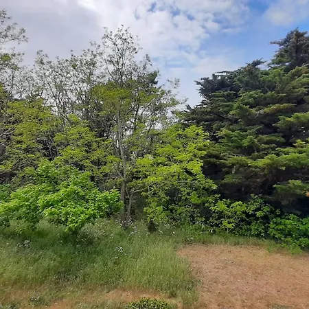 Familial 30m2 Les Goelands - Grand Balcon Vue Foret