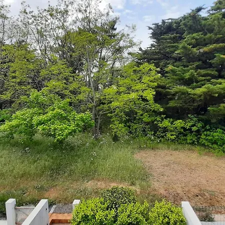 Daire Familial 30m2 Les Goelands - Grand Balcon Vue Foret *