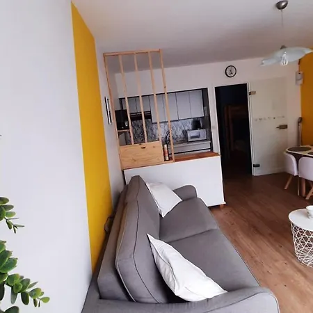 Daire Familial 30m2 Les Goelands - Grand Balcon Vue Foret *