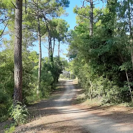 Familial 30m2 Les Goelands - Grand Balcon Vue Foret Daire Saint-Jean-de-Monts