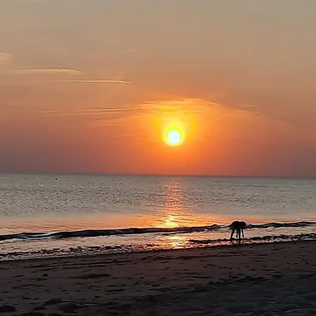 Familial 30m2 Les Goelands - Grand Balcon Vue Foret *