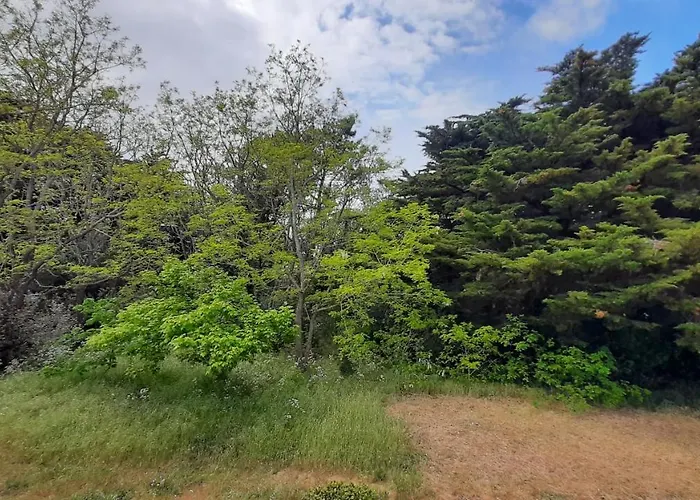 Familial 30m2 Les Goelands - Grand Balcon Vue Forêt