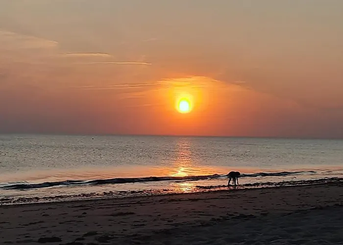 Familial 30m2 Les Goelands - Grand Balcon Vue Forêt *