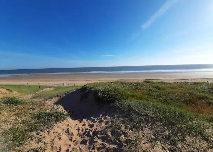 Familial 30m2 Les Goelands - Grand Balcon Vue Forêt Apartamento