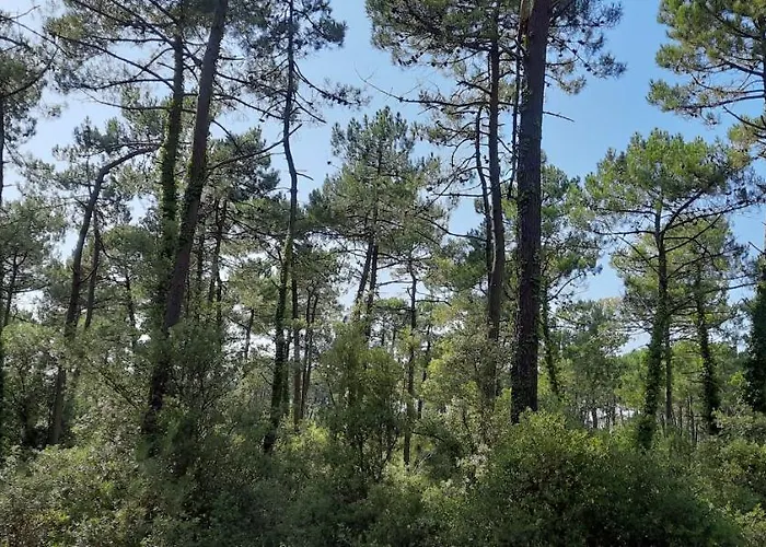 Apartamento Familial 30m2 Les Goelands - Grand Balcon Vue Forêt Saint-Jean-de-Monts