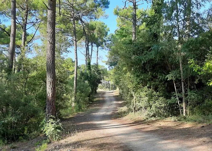 Familial 30m2 Les Goelands - Grand Balcon Vue Forêt Apartamento Saint-Jean-de-Monts